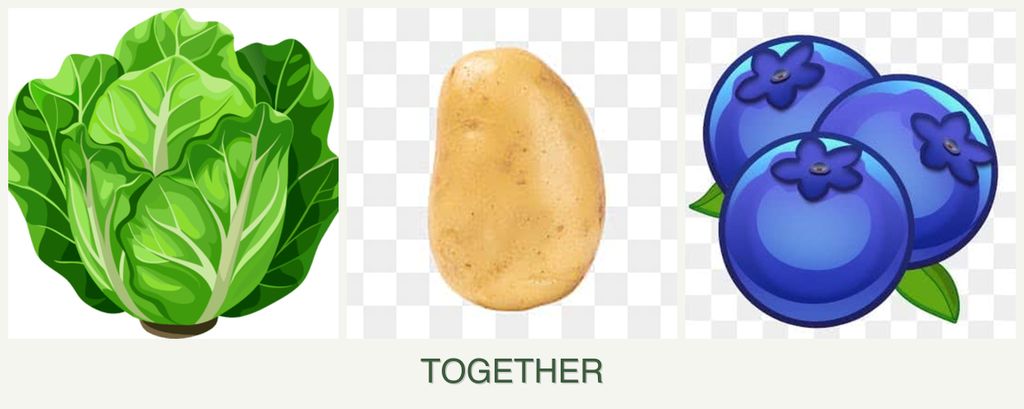 Can you plant lettuce, potatoes and blueberries together?
