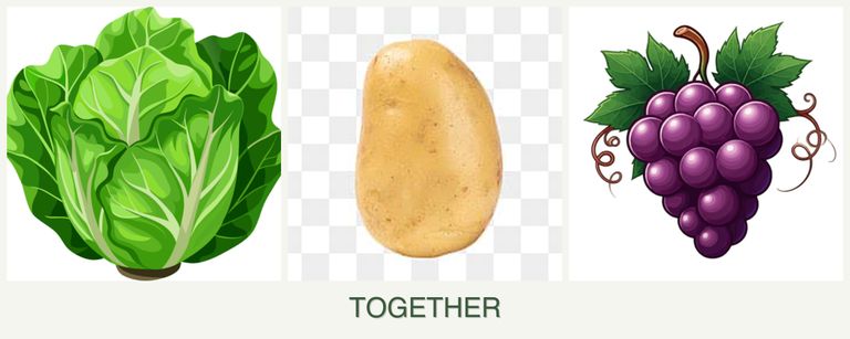 Can you plant lettuce, potatoes and grapes together?