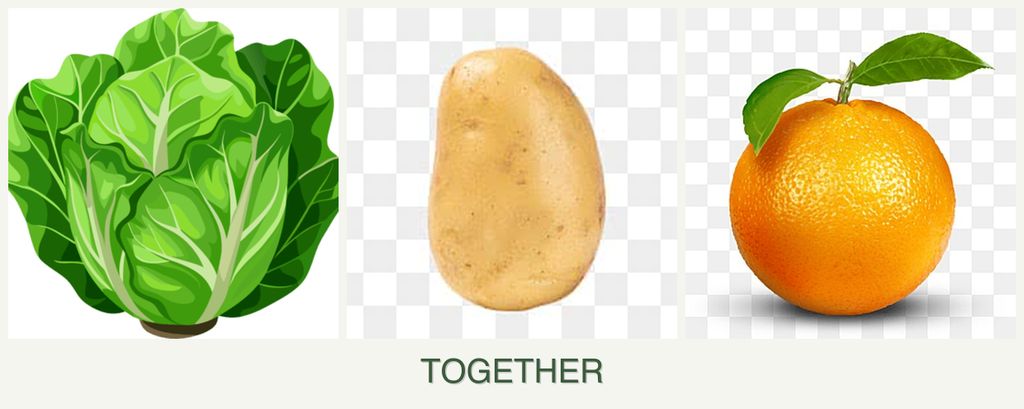 Can you plant lettuce, potatoes and oranges together?