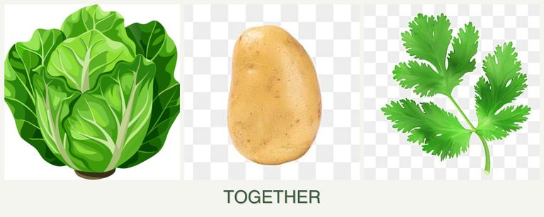 Can you plant lettuce, potatoes and parsley together?