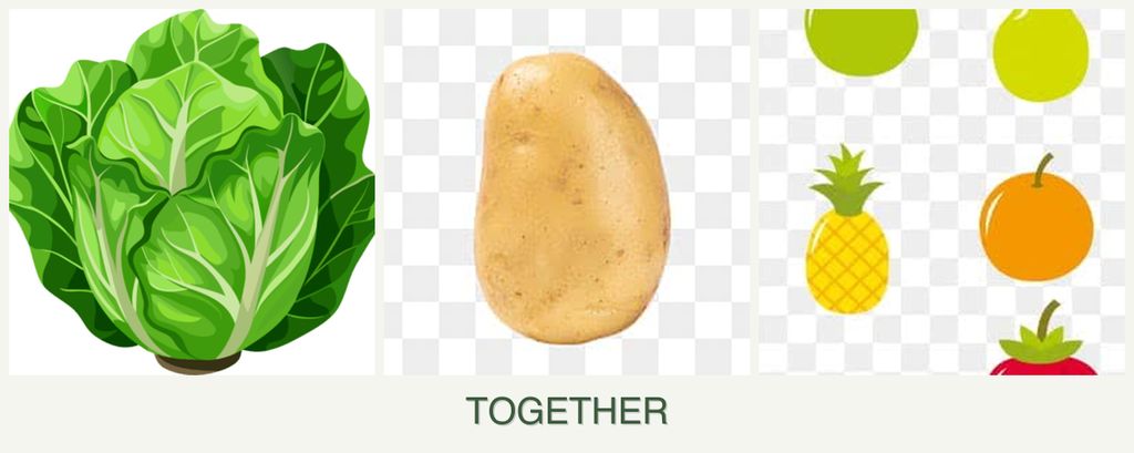 Can you plant lettuce, potatoes and pears together?