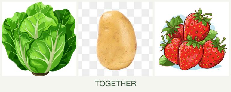 Can you plant lettuce, potatoes and strawberries together?