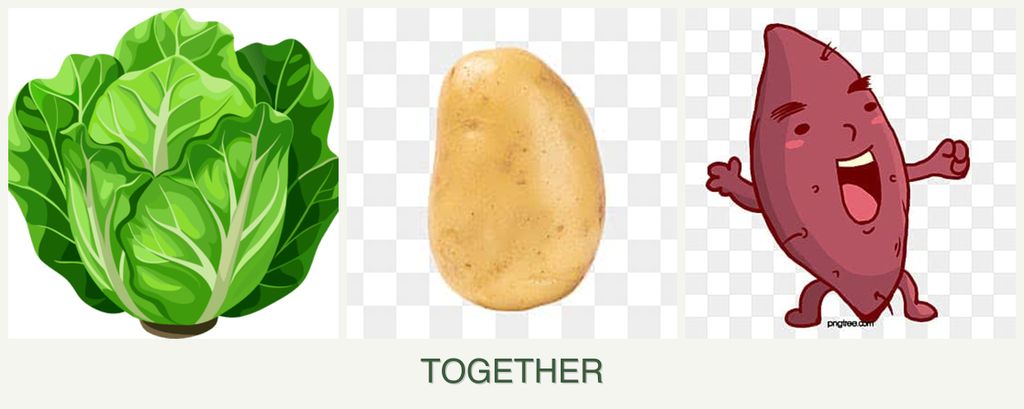Can you plant lettuce, potatoes and sweet potatoes together?