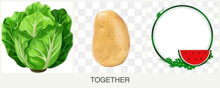 Can you plant lettuce, potatoes and watermelons together?