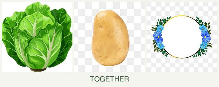 Can you plant lettuce, potatoes and zinnias together?