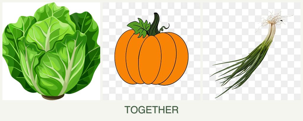 Can you plant lettuce, pumpkin and chives together?