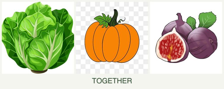 Can you plant lettuce, pumpkin and figs together?