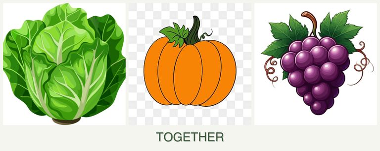 Can you plant lettuce, pumpkin and grapes together?