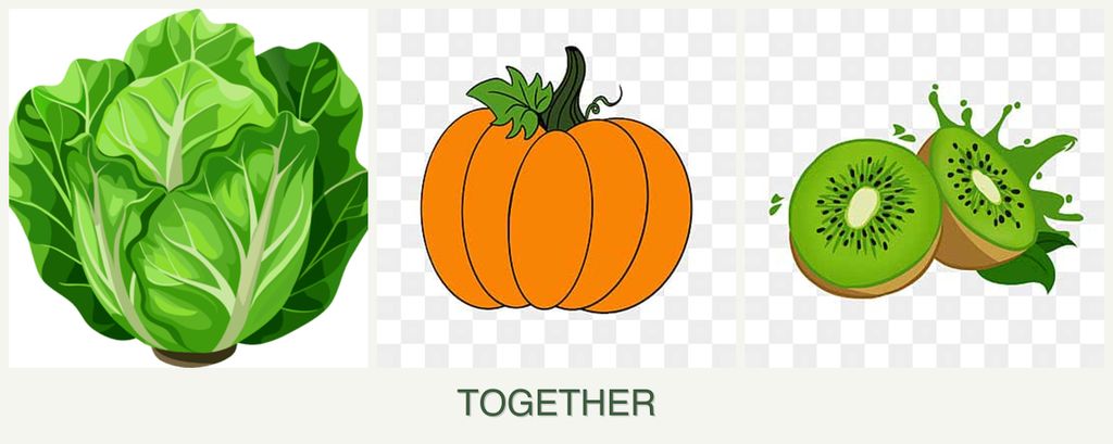Can you plant lettuce, pumpkin and kiwi together?