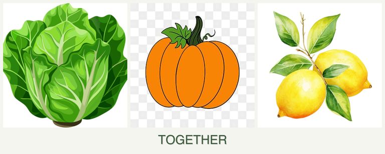 Can you plant lettuce, pumpkin and lemons together?