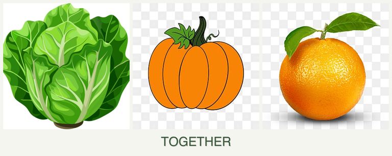 Can you plant lettuce, pumpkin and oranges together?