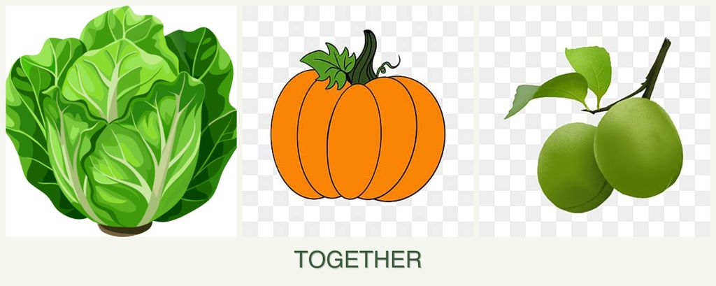 Can you plant lettuce, pumpkin and plums together?