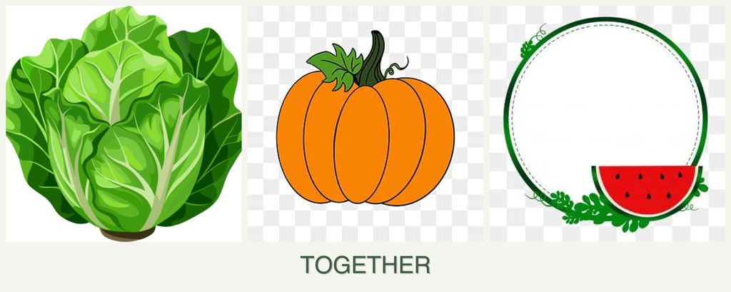 Can you plant lettuce, pumpkin and watermelons together?