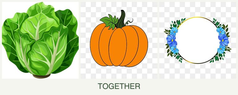 Can you plant lettuce, pumpkin and zinnias together?