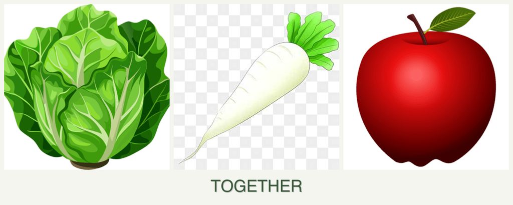 Can you plant lettuce, radishes and apples together?