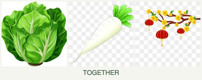 Can you plant lettuce, radishes and apricots together?