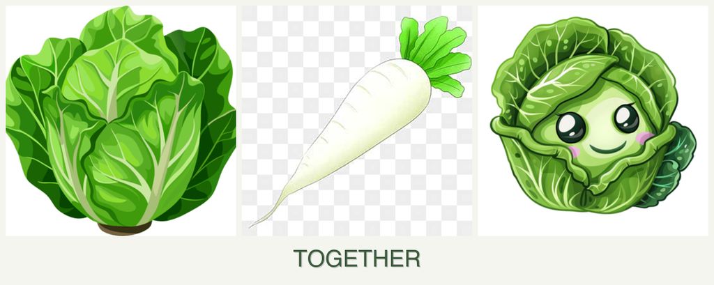 Can you plant lettuce, radishes and cabbage together?