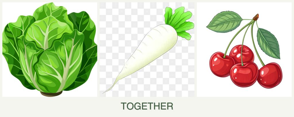Can you plant lettuce, radishes and cherries together?