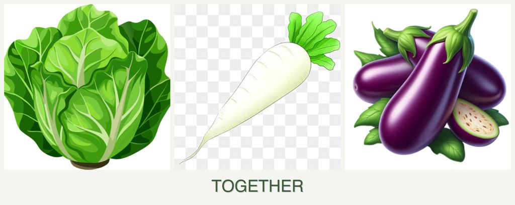 Can you plant lettuce, radishes and eggplant together?