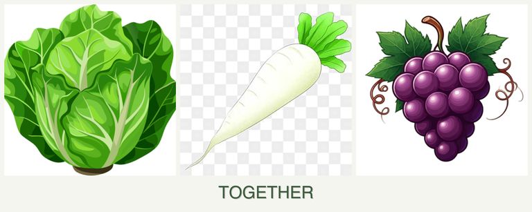 Can you plant lettuce, radishes and grapes together?
