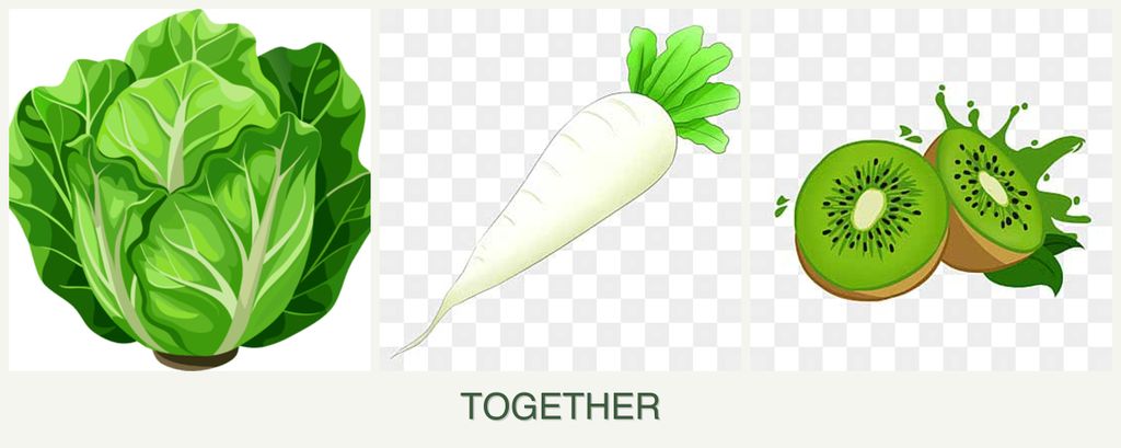 Can you plant lettuce, radishes and kiwi together?