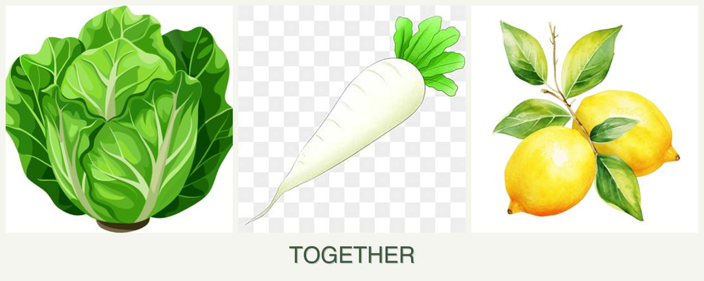 Can you plant lettuce, radishes and lemons together?