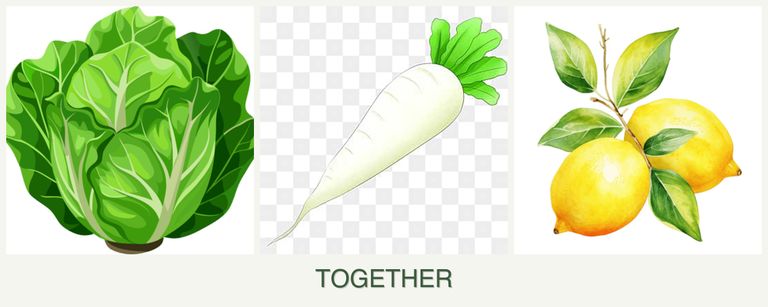 Can you plant lettuce, radishes and lemons together?