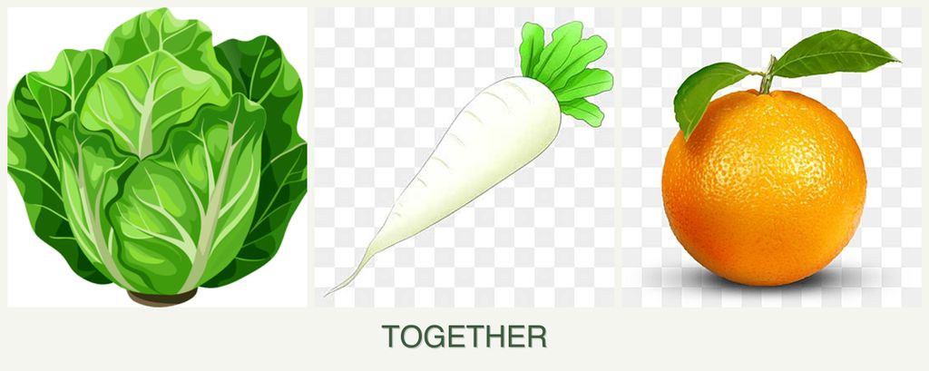 Can you plant lettuce, radishes and oranges together?