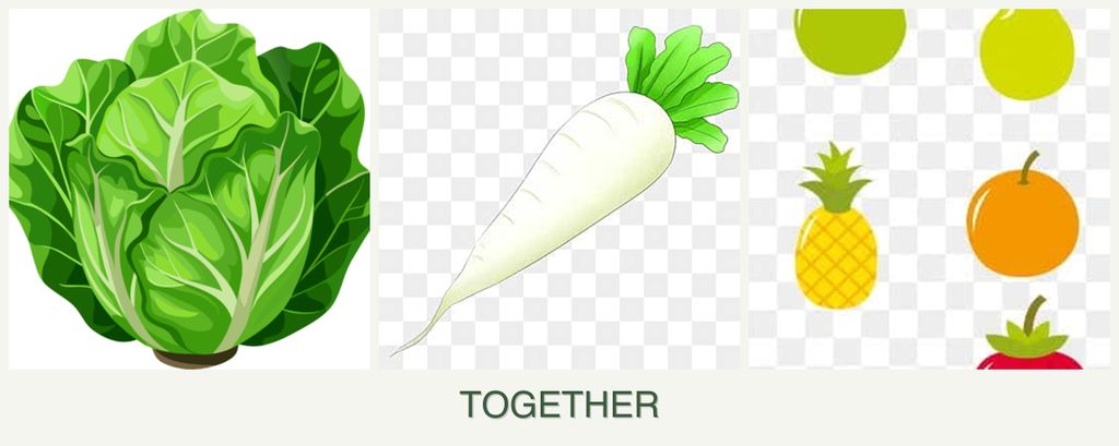 Can you plant lettuce, radishes and pears together?