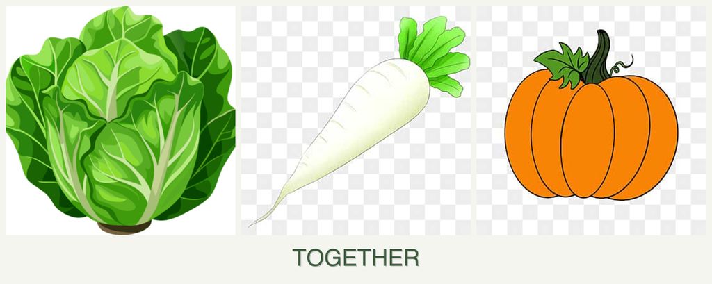 Can you plant lettuce, radishes and pumpkin together?
