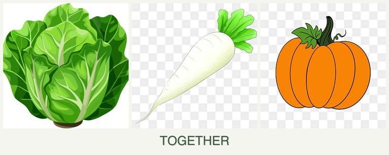Can you plant lettuce, radishes and pumpkin together?