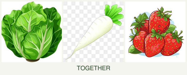 Can you plant lettuce, radishes and strawberries together?