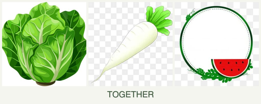 Can you plant lettuce, radishes and watermelons together?