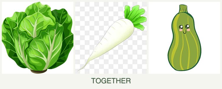 Can you plant lettuce, radishes and zucchini together?