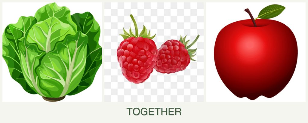 Can you plant lettuce, raspberries and apples together?