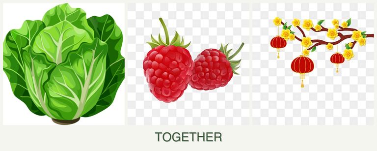Can you plant lettuce, raspberries and apricots together?