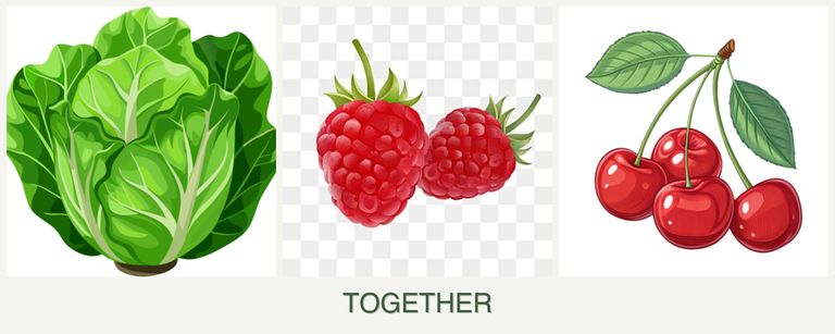 Can you plant lettuce, raspberries and cherries together?