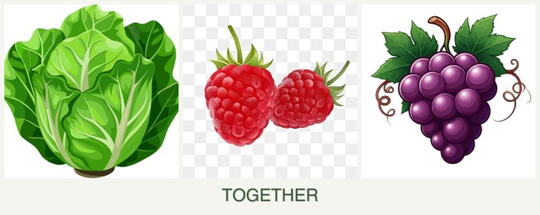Can you plant lettuce, raspberries and grapes together?