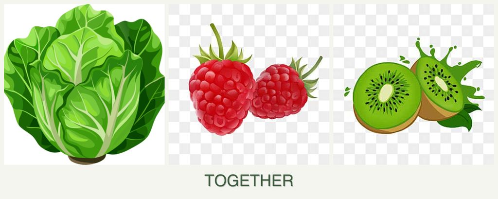 Can you plant lettuce, raspberries and kiwi together?