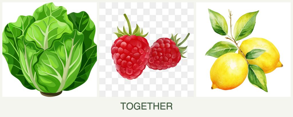 Can you plant lettuce, raspberries and lemons together?