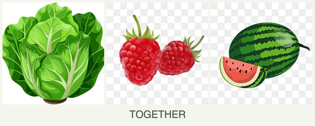 Can you plant lettuce, raspberries and melons together?
