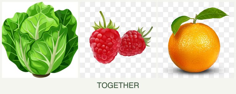 Can you plant lettuce, raspberries and oranges together?