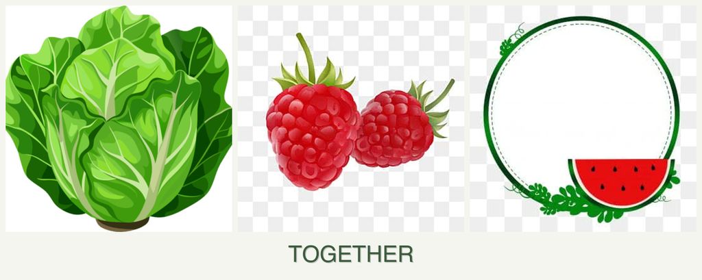 Can you plant lettuce, raspberries and watermelons together?