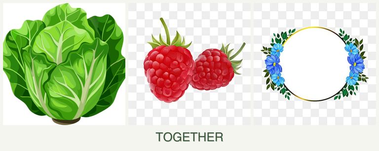 Can you plant lettuce, raspberries and zinnias together?