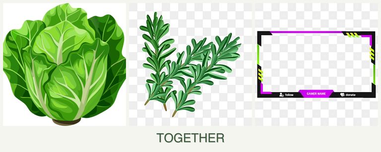 Can you plant lettuce, rosemary and limes together?