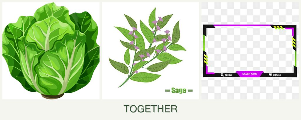 Can you plant lettuce, sage and limes together?
