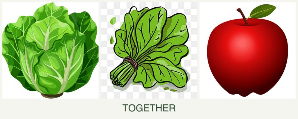 Can you plant lettuce, spinach and apples together?