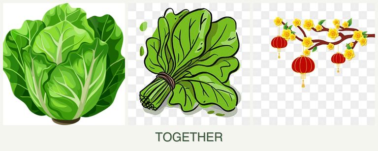 Can you plant lettuce, spinach and apricots together?