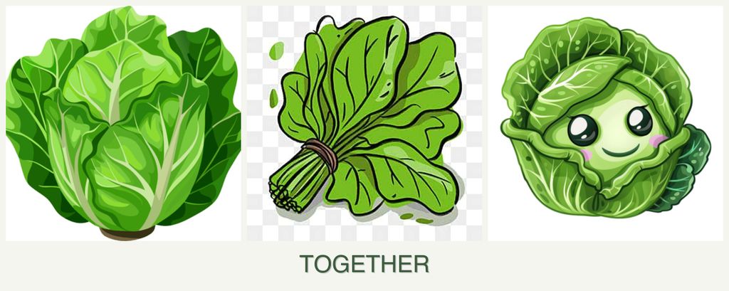 Can you plant lettuce, spinach and cabbage together?