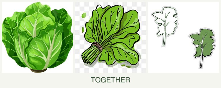 Can you plant lettuce, spinach and kale together?
